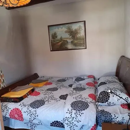 търнова, Guest * Malko Tŭrnovo